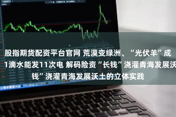 股指期货配资平台官网 荒漠变绿洲、“光伏羊”成除草“义工”、1滴水能发11次电 解码险资“长钱”浇灌青海发展沃土的立体实践