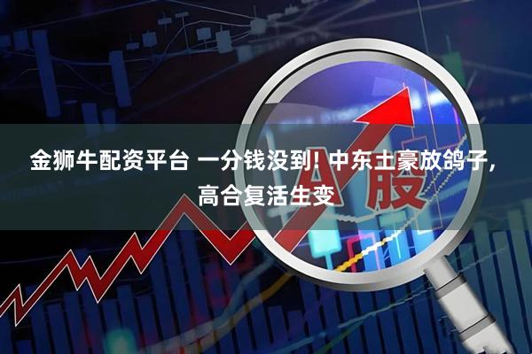 金狮牛配资平台 一分钱没到! 中东土豪放鸽子, 高合复活生变