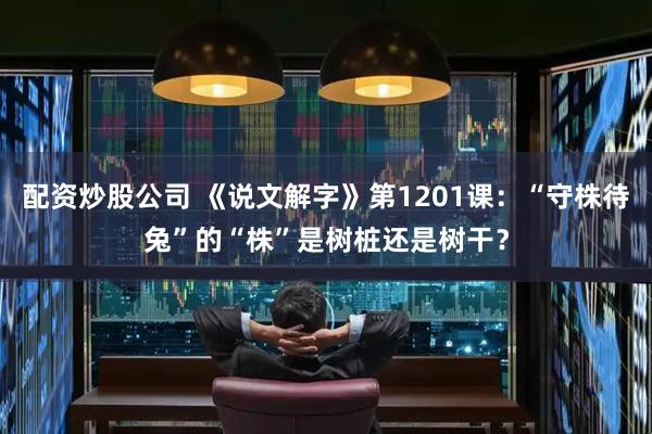 配资炒股公司 《说文解字》第1201课:“守株待兔”的“株”是树桩还是树干?